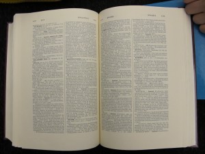Epistemologisch woordenboek/Epistemological dictionary